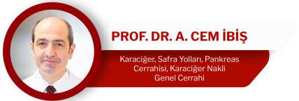Prof. Dr. A. Cem İBİŞ