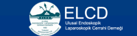 Ulusal Endoskopik Laparoskopik Cerrahi Derneği